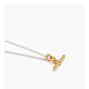 Chic Gold and Silver Necklace